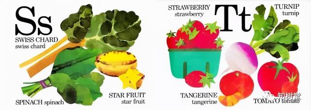 分享3本字母主题的经典英文绘本