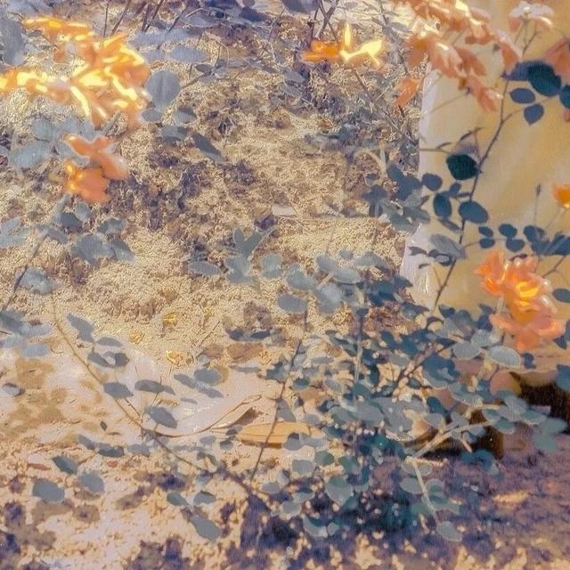 极致温柔的治愈句子
