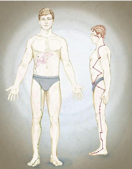 促进睡眠，远离心脑血管疾病的“特效穴”每天按一按