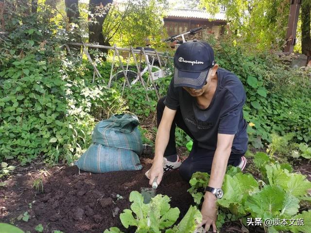 八月的束河 依舊那麼明媚動人 Kks資訊網