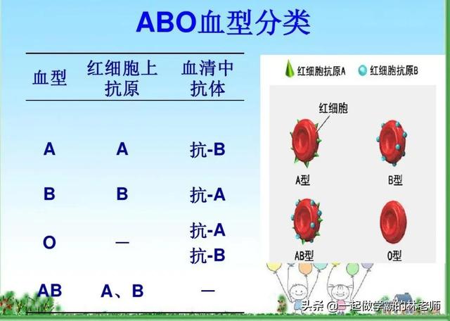 如何生出AB血型孩子？子女血型父母能选择吗？怎么预测孩子血型