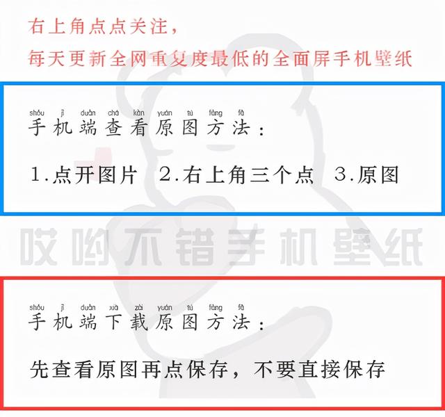 全面屏壁紙 動物 保護動物 珍愛生命 中國熱點