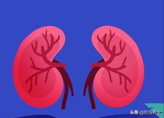 您的心脏怎么样？中医陪你了解自己的心脏