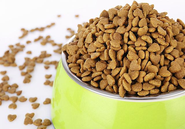 狗狗食欲不振怎么办（狗狗食欲不振怎么回事）