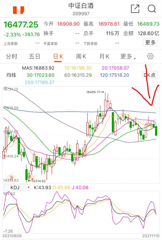 11.10午白酒 医疗 新能源车 光伏 半导体 军工 证券后市你会怎么看？