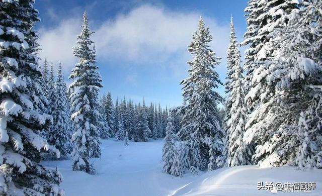 冬季是养生的“黄金季节”，养“藏”强肾