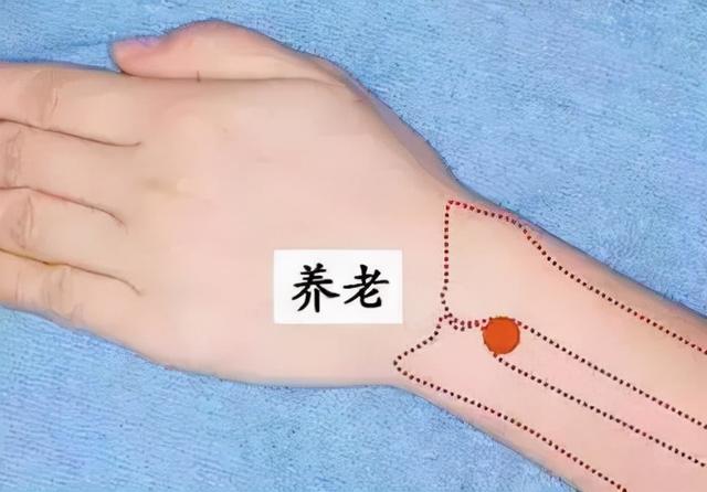 倪海厦：针灸之养老穴，手腕不能转一针见效，养老透间使腰痛立止