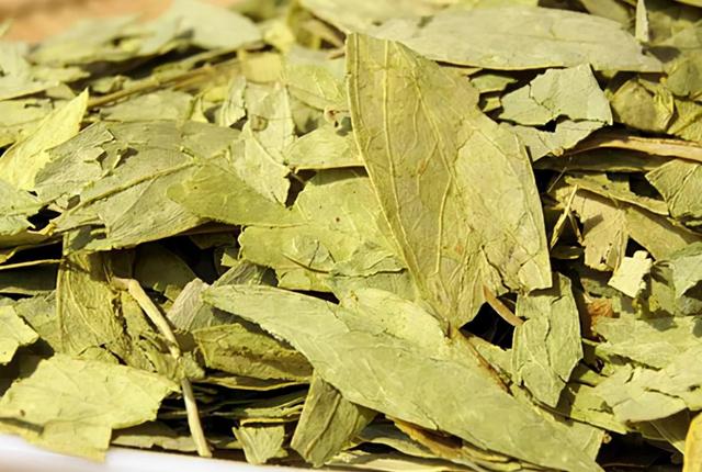 中药｜治便秘，通肠道