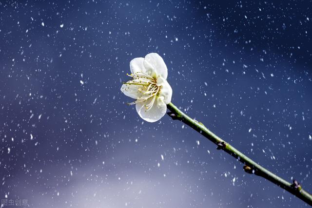 保持饥饿，保持愚钝