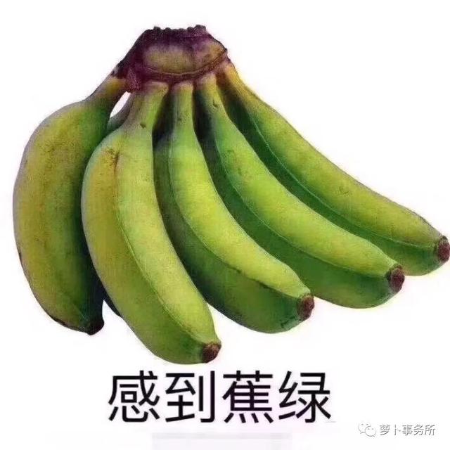 苦中作乐，上市公司被取外号！三只松鼠跌成一只，双汇跌到单汇