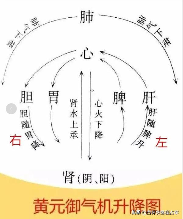 多梦易醒、口苦、痰多恶心，一剂温胆汤，帮你解决多种问题