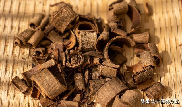 郝大夫说厚朴：理气化湿通中焦，行气解郁平肝逆