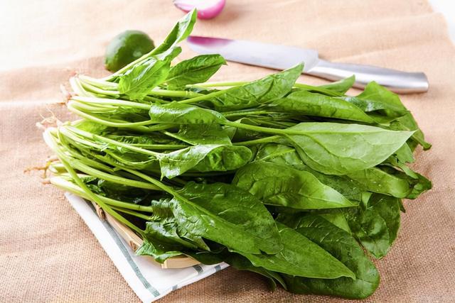 女人越老越要补？医生；45岁之后，建议为身体补充3种营养物质