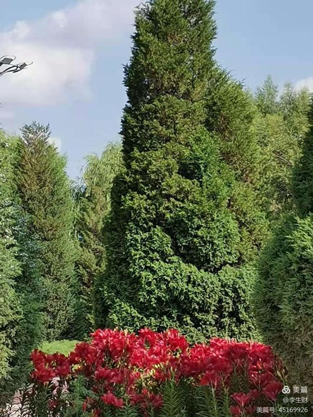 走进紫晨广场：文/李生财，图/郭翠枝