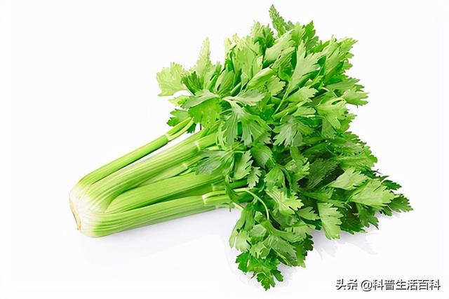 四个习惯，让身体越来越年轻