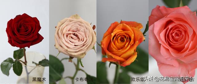 那些让花店老板上头的问题该如何回答 今日热点