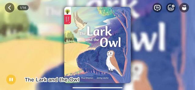 跟孩子一起读绘本：《The  Lark  and  Owl》