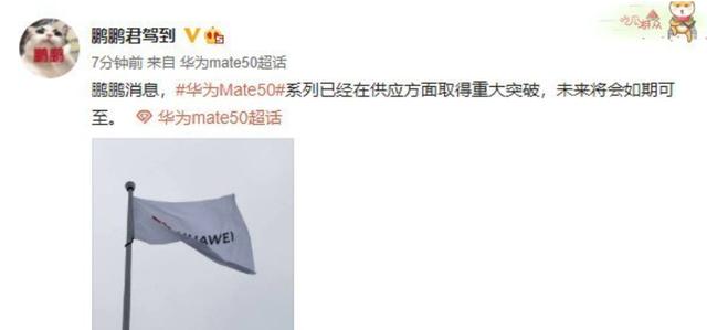 爆料：华为Mate  50系列如期可至