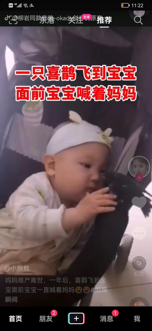 妈妈难产去世，一年后变成喜鹊来到宝宝身边？