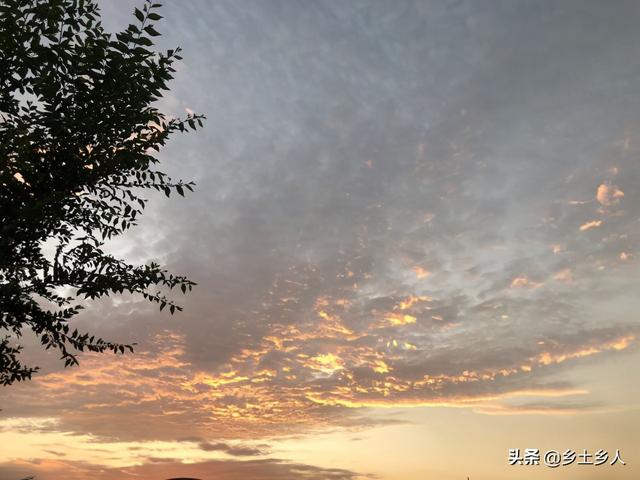 白露吃啥？老话说：“白露十样白，老头变小孩”，十样白指的是啥