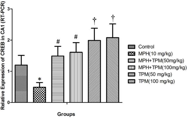 治疗多动症的同时也要谨防神经炎症侵害孩子的大脑