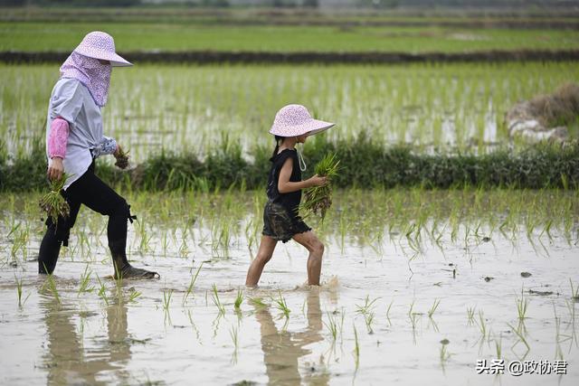 为什么把假期还给孩子很重要