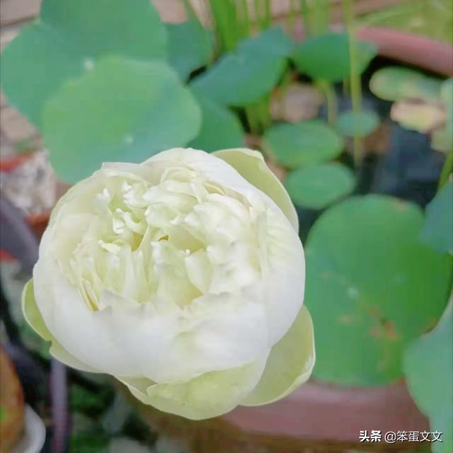 独处是自我的丰富（二）