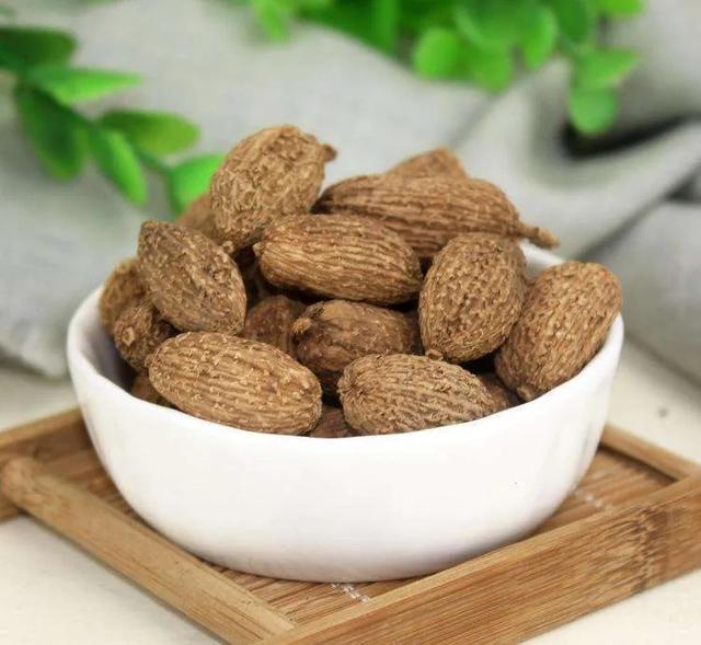 养生知药 | 砂仁