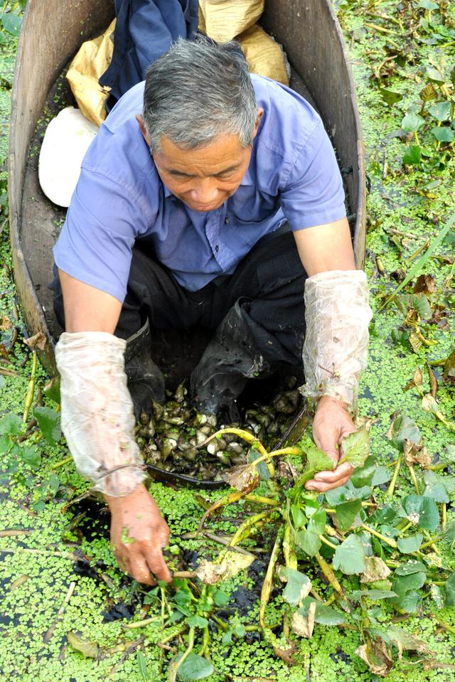 湖北武汉：95后小伙卖菱角一年搞3000万 玩电商发财