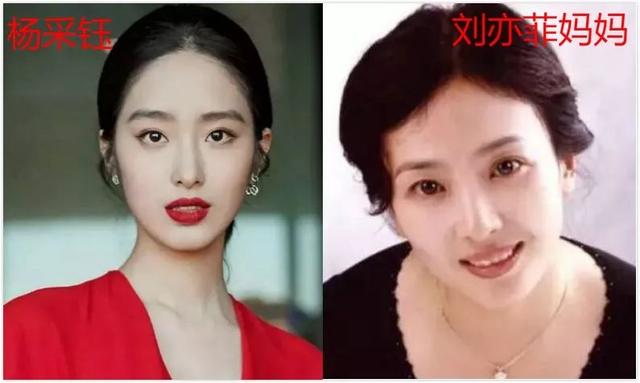 传杨采钰嫁陈金飞:杨采钰陈金飞领证结婚是真的吗杨采钰陈金飞领证结婚具体什么情况
