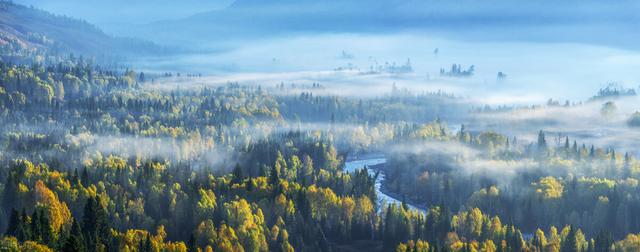 教子育儿，家长只要紧紧抓住一点，便是人间好时节