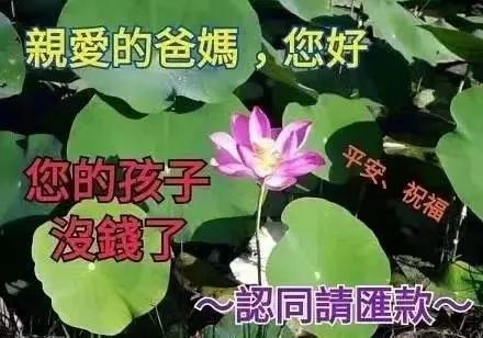 需要爸爸妈妈系列表情包