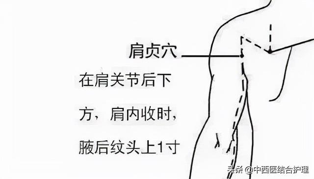 「经络养生」颈肩久治不断根，是这里“寒气”没有化解