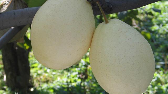 九月养生谨记“345黄金原则”，“三不吃，四注意，五相伴”秘诀