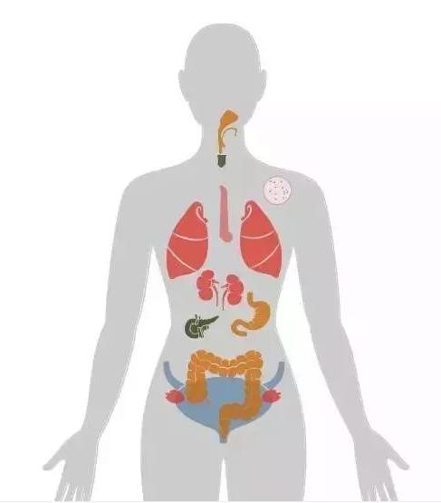 孩子日常会接触到哪些致癌物？想不到这么多（附一级致癌物清单）