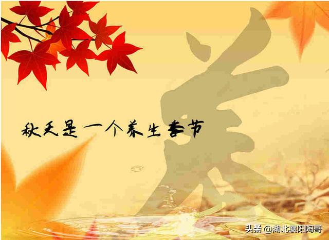 秋季养生，记住“三不吃、三不睡、三不做”，精神饱满过秋天