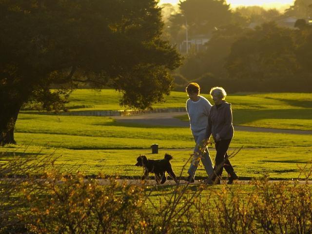 多走路可以有助平稳“血糖”吗？多做这3件事，或许有好处