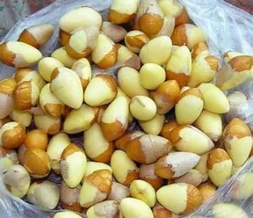 如何＂药食＂协同微无创整体整合治疗--“万箭齐发”防治肿瘤？