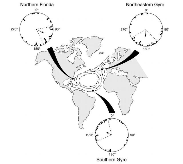 两大优势！美国将采用GPS替代品“地磁导航技术”多项技术未突破