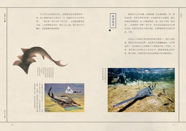 星球安利又挖到3本小众宝藏图书，快来陪孩子“充充电”