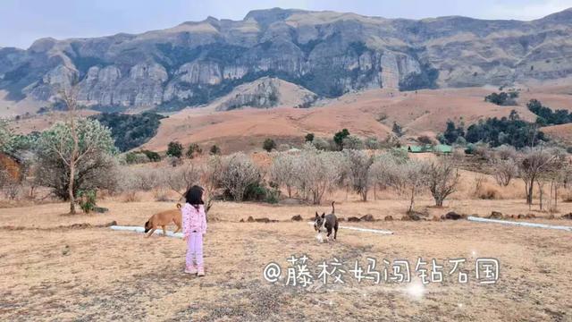 平均一年出游超过20次的玩家级妈妈，带孩子出门是这样打包的