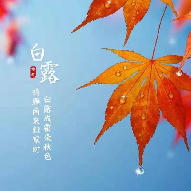 白露的到来，代表天气渐渐转凉。提醒家人们，一定要照顾好自己