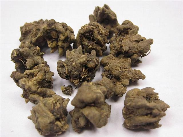 “三棱、莪术”对身体有哪些益处？提醒：女性经期或不能使用