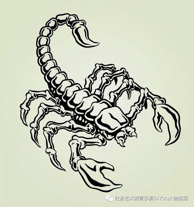 传统纹身图案寓意:五毒 蛇纹身的忌讳和讲究