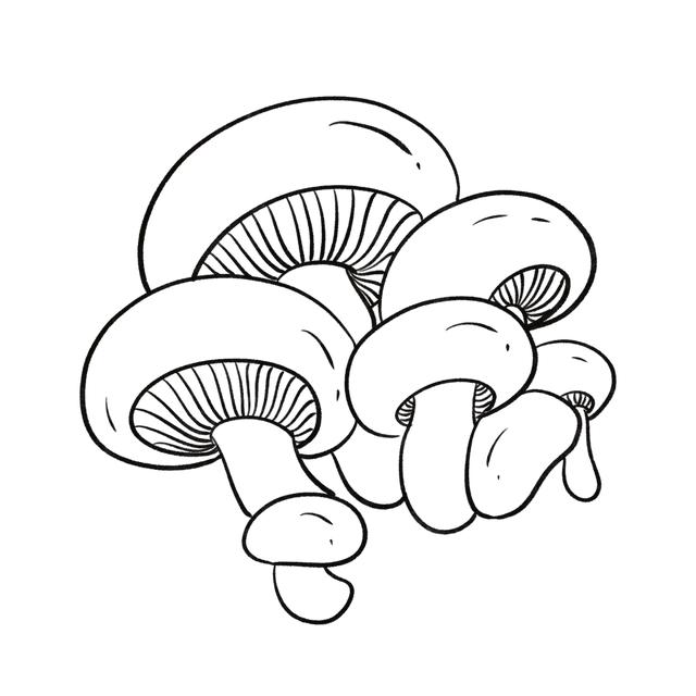 健康惠养生：菇往菌来，人们为什么独爱这口鲜？