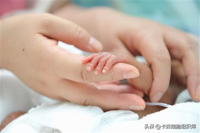 “世界早产日”——干细胞可以解决哪些早产儿疾病