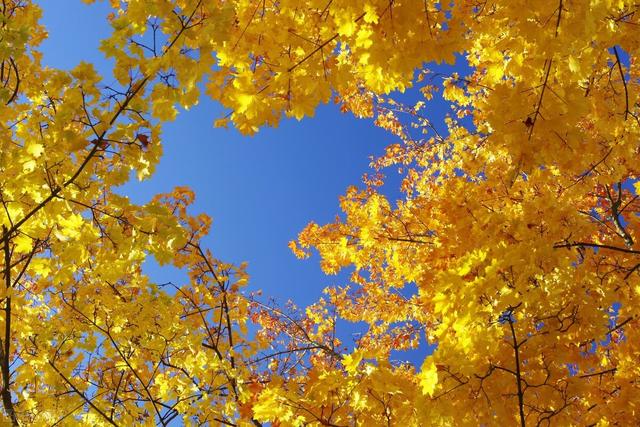 联想问题是大是小？