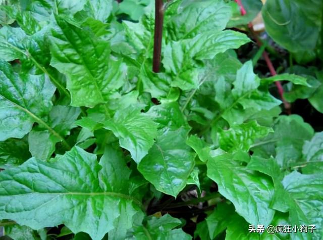 寒！特别要注意，坐月子对女性很重要