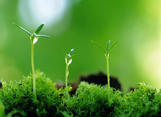 知道吗？情绪荷尔蒙才是影响人寿命长短的因素，不是饮食和运动