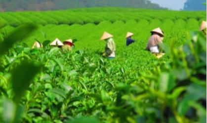 筷农电商系统—科技赋能商业零售